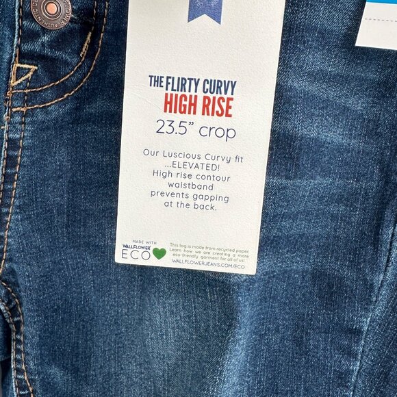 Wallflower The Flirty Curve High Rise Stretch Jeans size 9 29 Distressed Crop - Picture 6 of 11